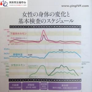 日本英医院生殖中心的日本试管婴儿技术