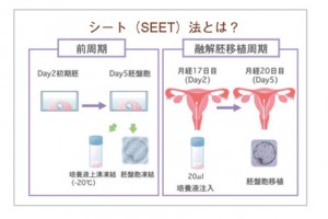 日本英医院生殖中心的日本试管婴儿技术