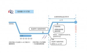 日本英医院生殖中心的日本试管婴儿技术