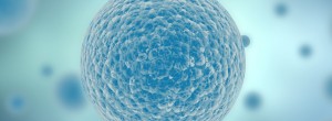 日本神户英医院生殖中心促排卵方法-拮抗法