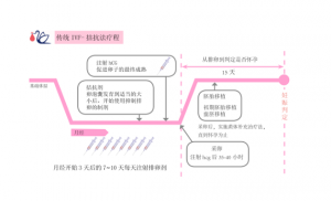 日本神户英医院生殖中心促排卵方法-拮抗法