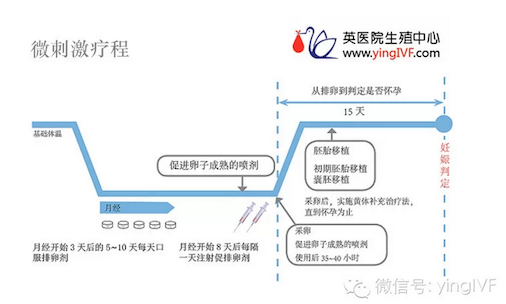 日本英医院生殖中心日本试管婴儿方案