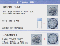 应对子宫状况和着床问题的移植技术