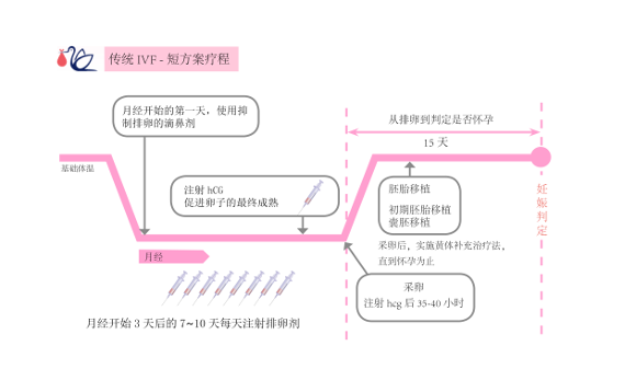 IVF 短方案