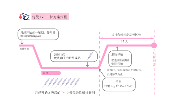 IVF 长方案