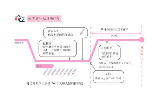 IVF 拮抗剂方案